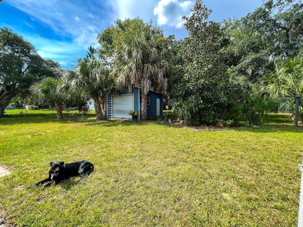 House Of Shells, Beautiful Garden, Fenced Yard, Dog Friendly, Fire Pit! Villa Crystal River Exterior photo